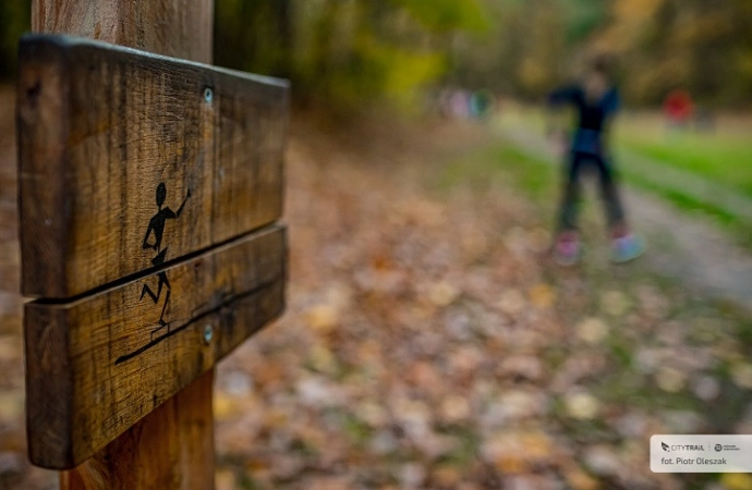 CityTrail na półmetku